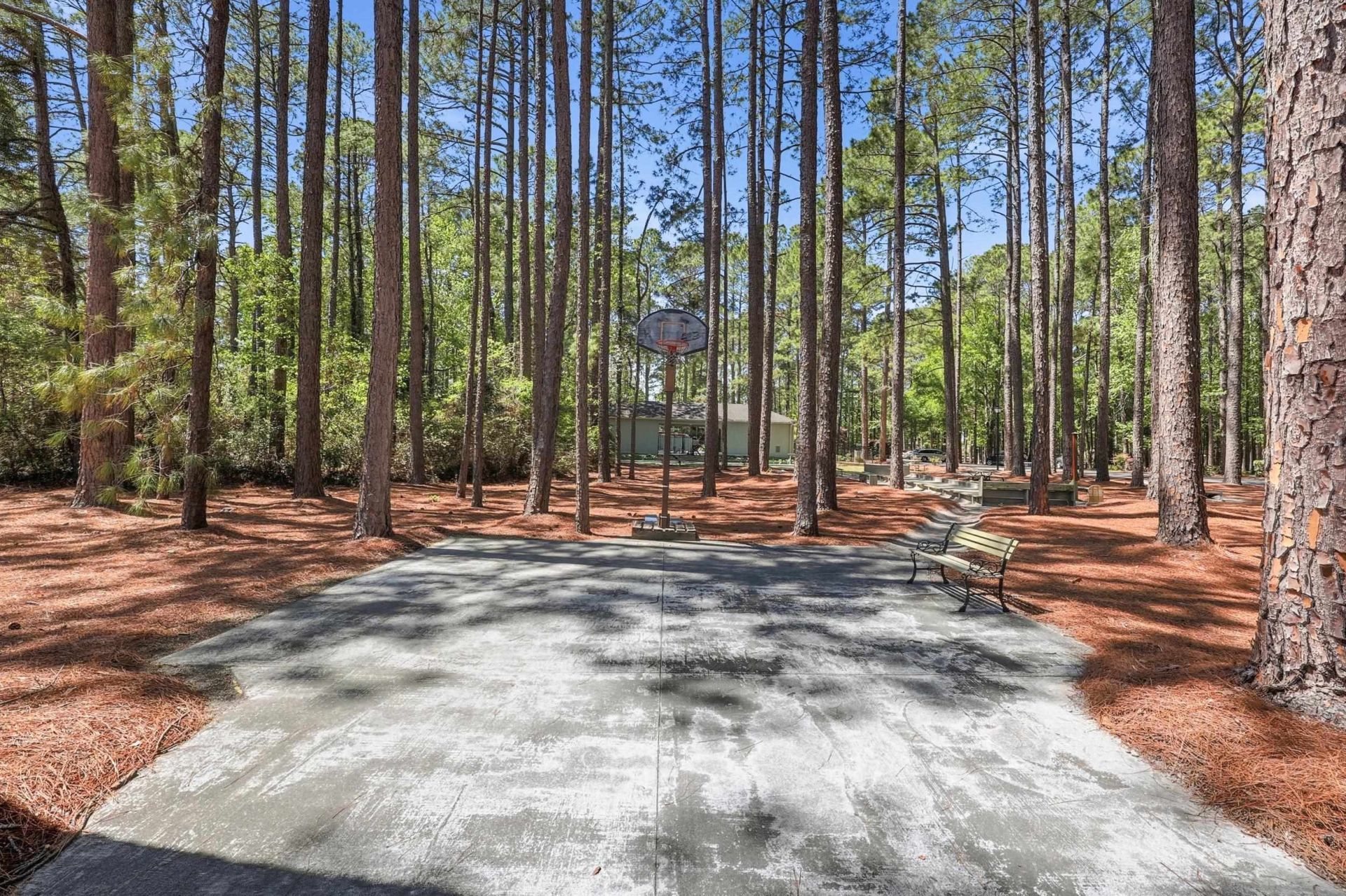 1215 Loblolly Ln. Photo 62