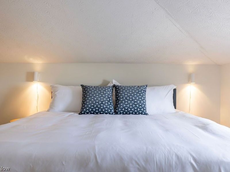 4210 Clinton Avenue, Cleveland, OH 44113 Photo 31