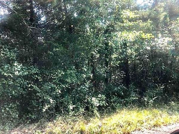 TBD Enid Drive, Cherokee Village, AR 72529