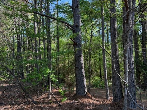 0 Old Highway 18, Vernon, AL 35592