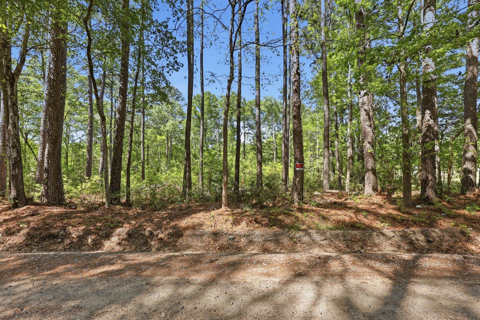 109 Love Lane Photo 4