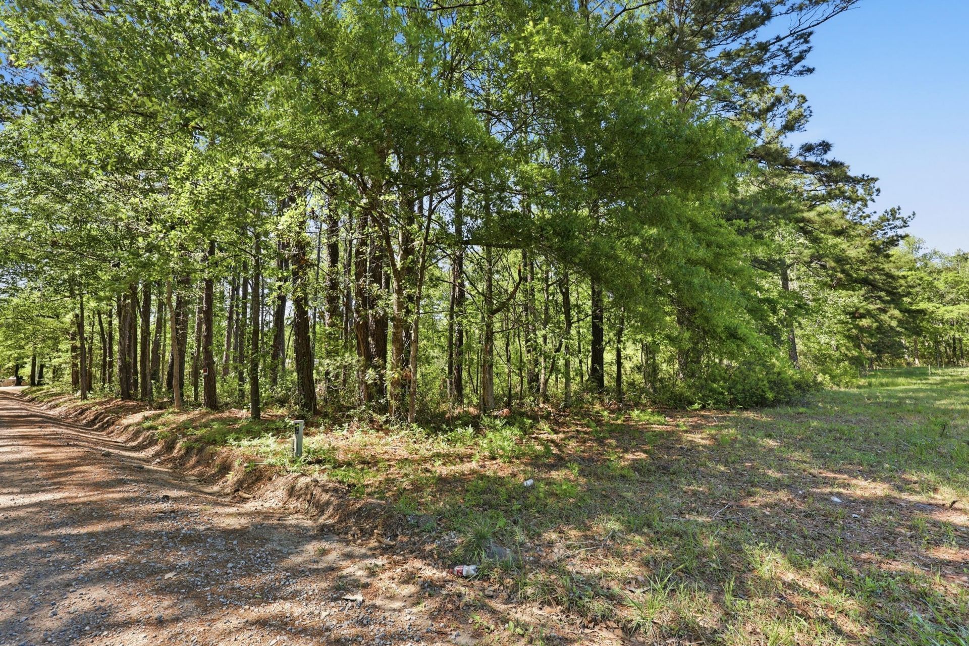 109 Love Lane Photo 5