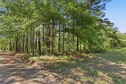 109 Love Lane photo 4