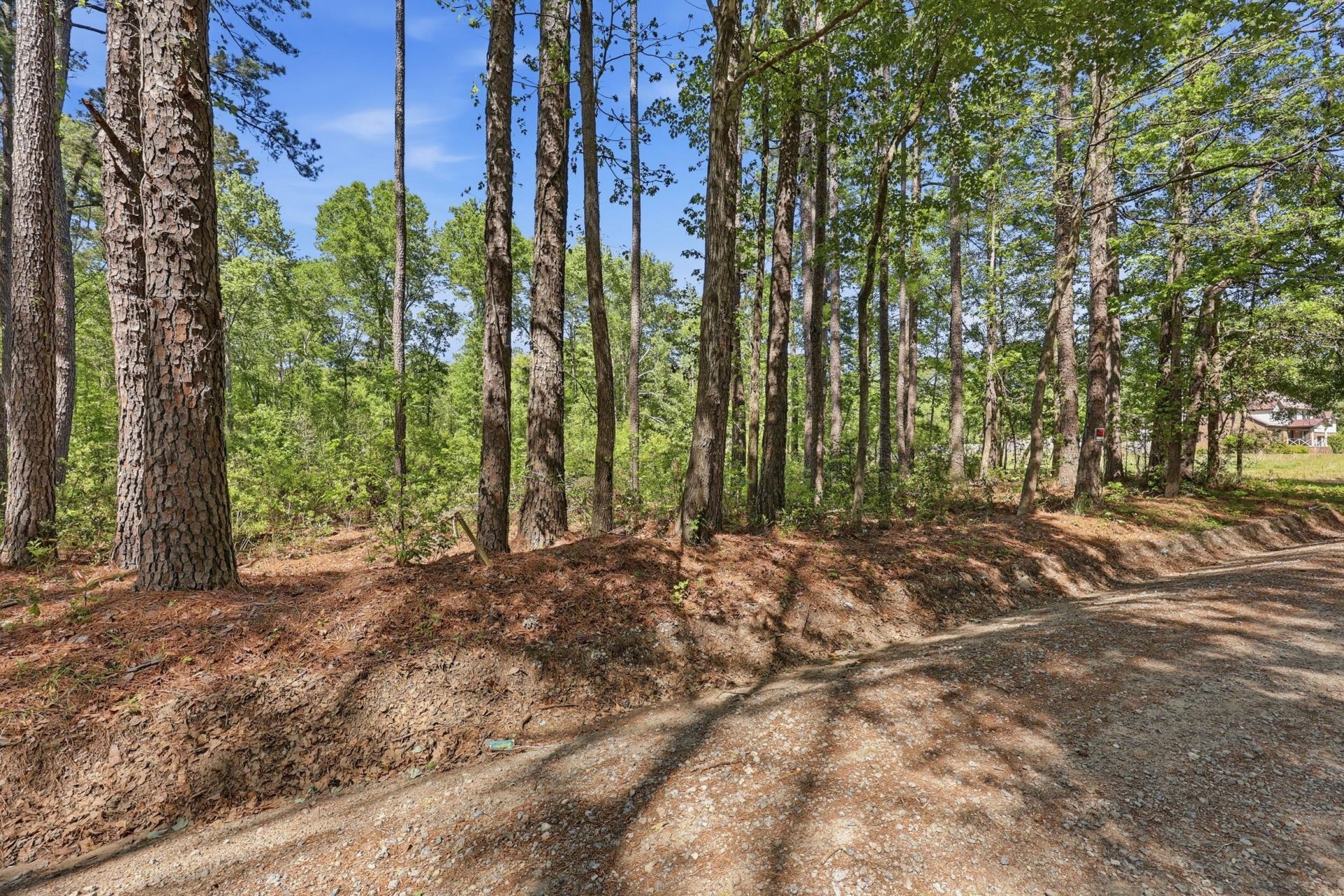 109 Love Lane Photo 6