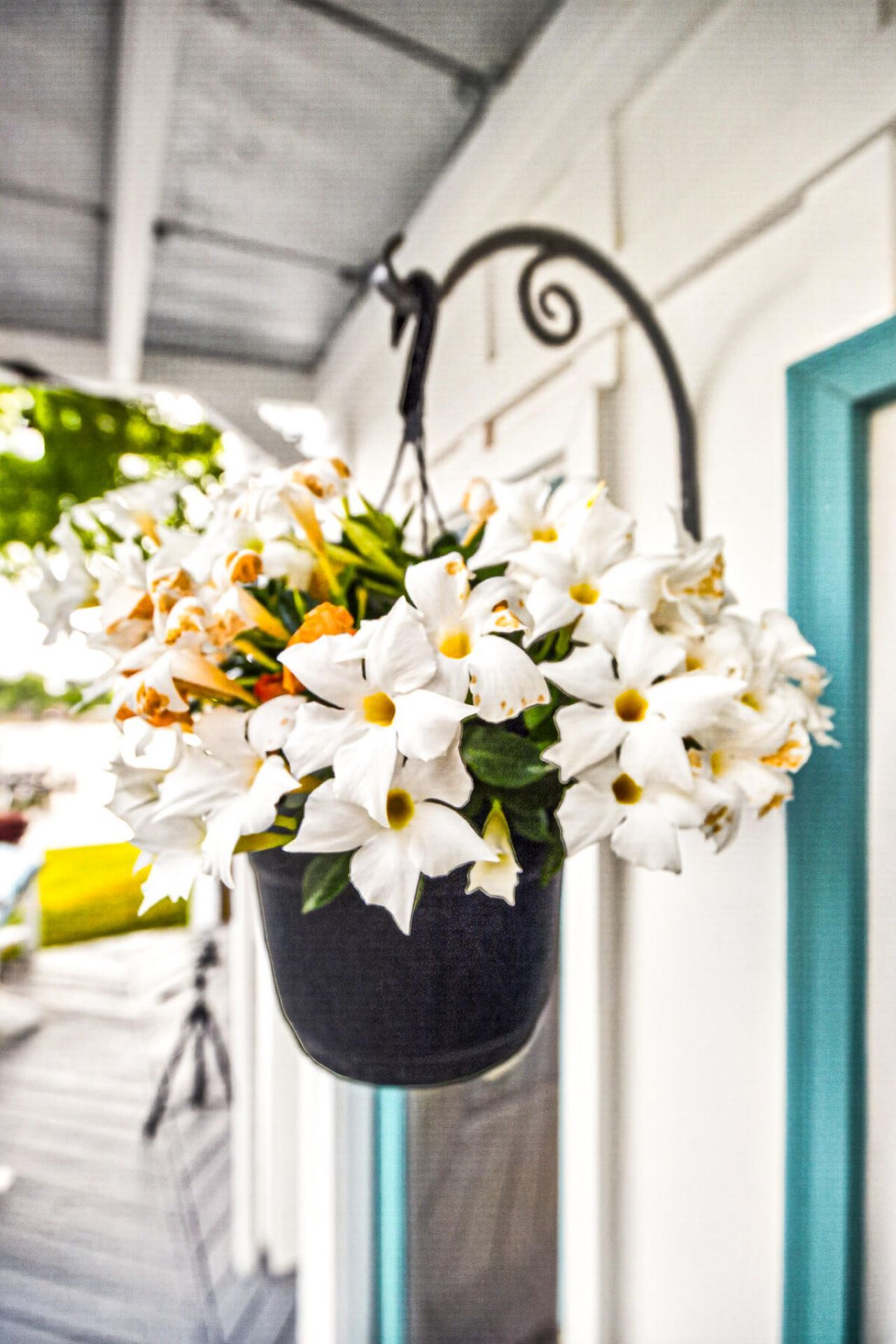 1204 Joyner Drive Photo 25