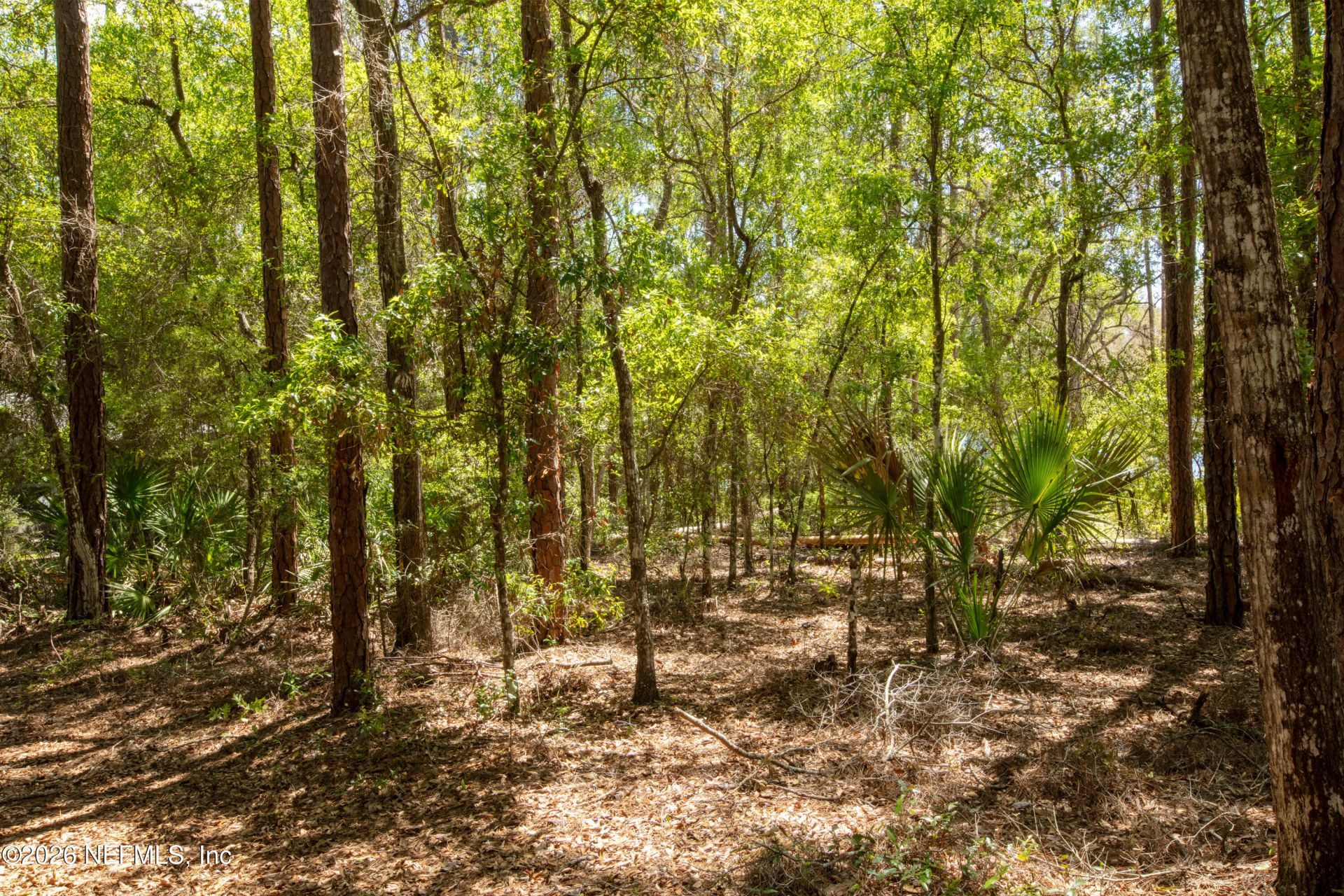 111 Gator Trail, Melrose, FL 32666 Photo