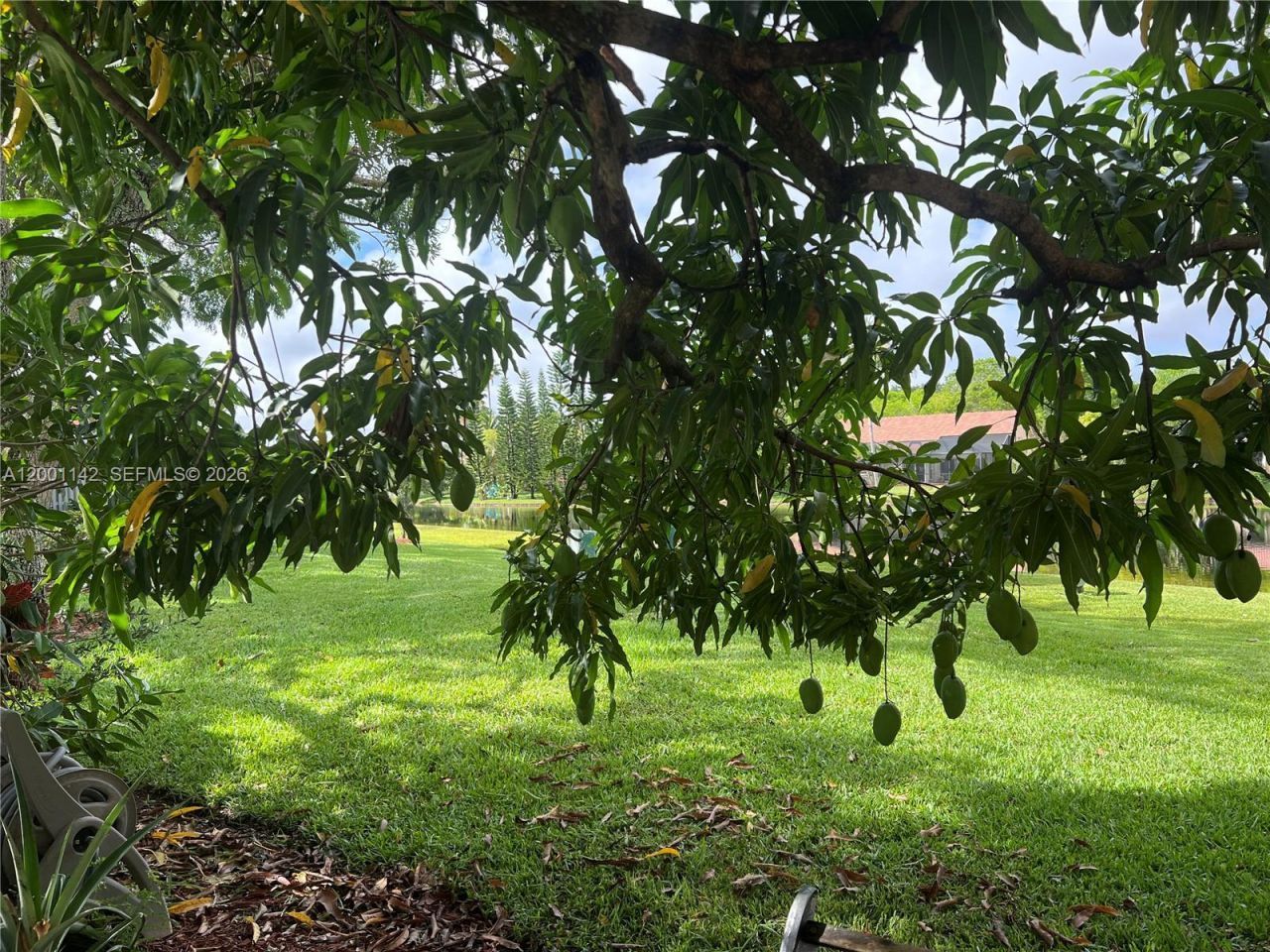 1544 Springside Dr, Unit 1544, Weston, FL 33326 Photo