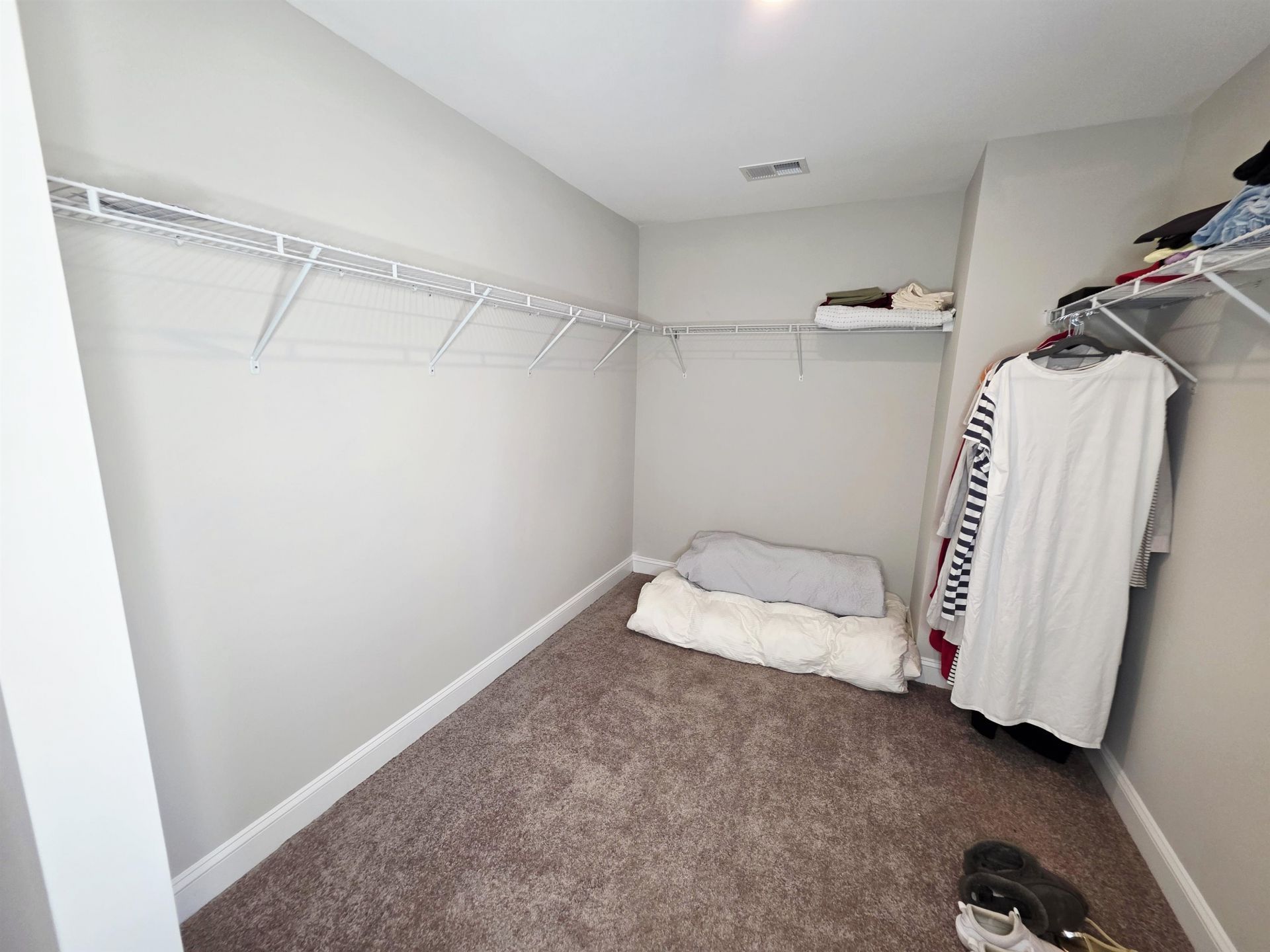 2893 Stellar Loop Photo 43