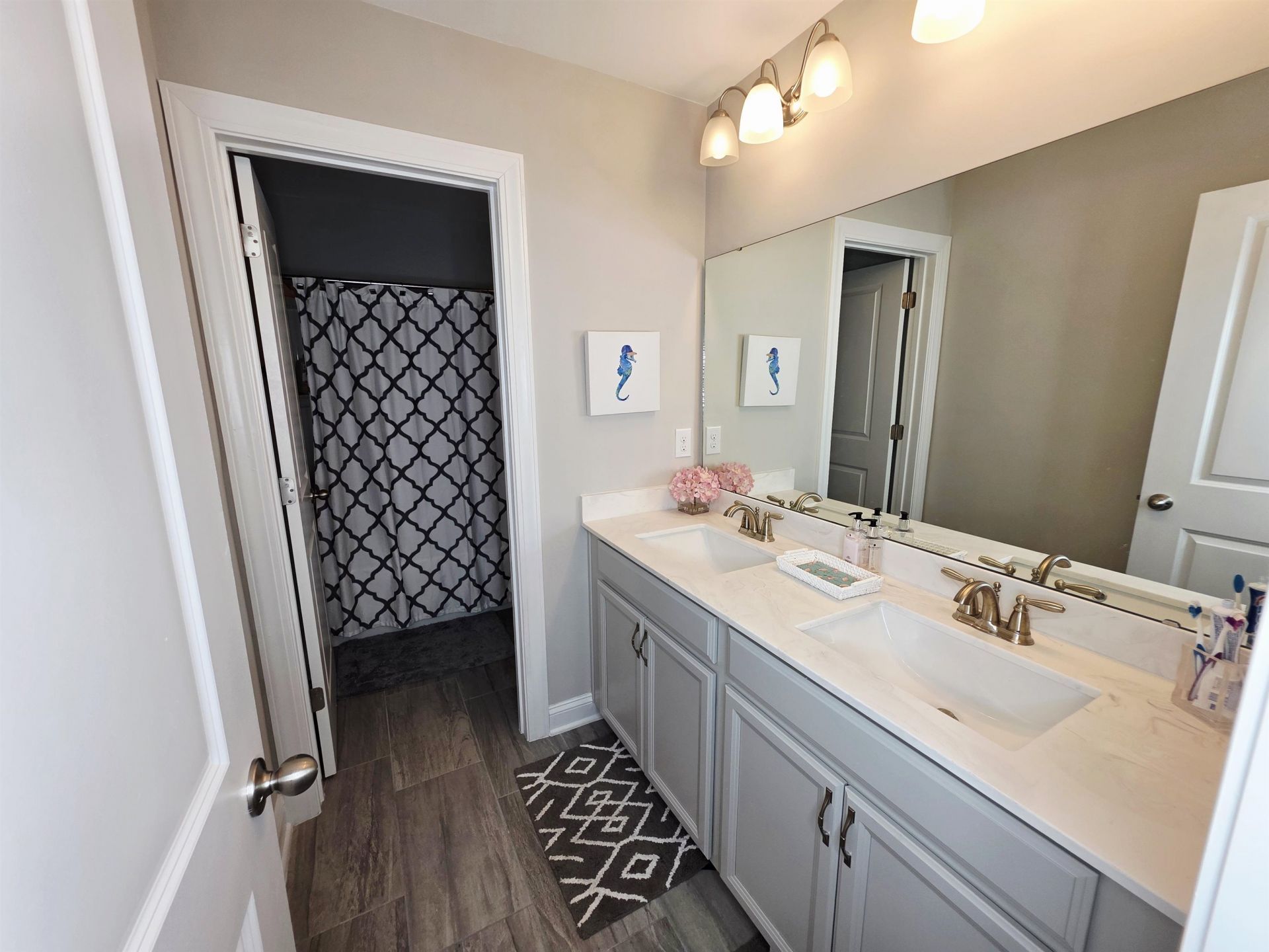 2893 Stellar Loop Photo 52