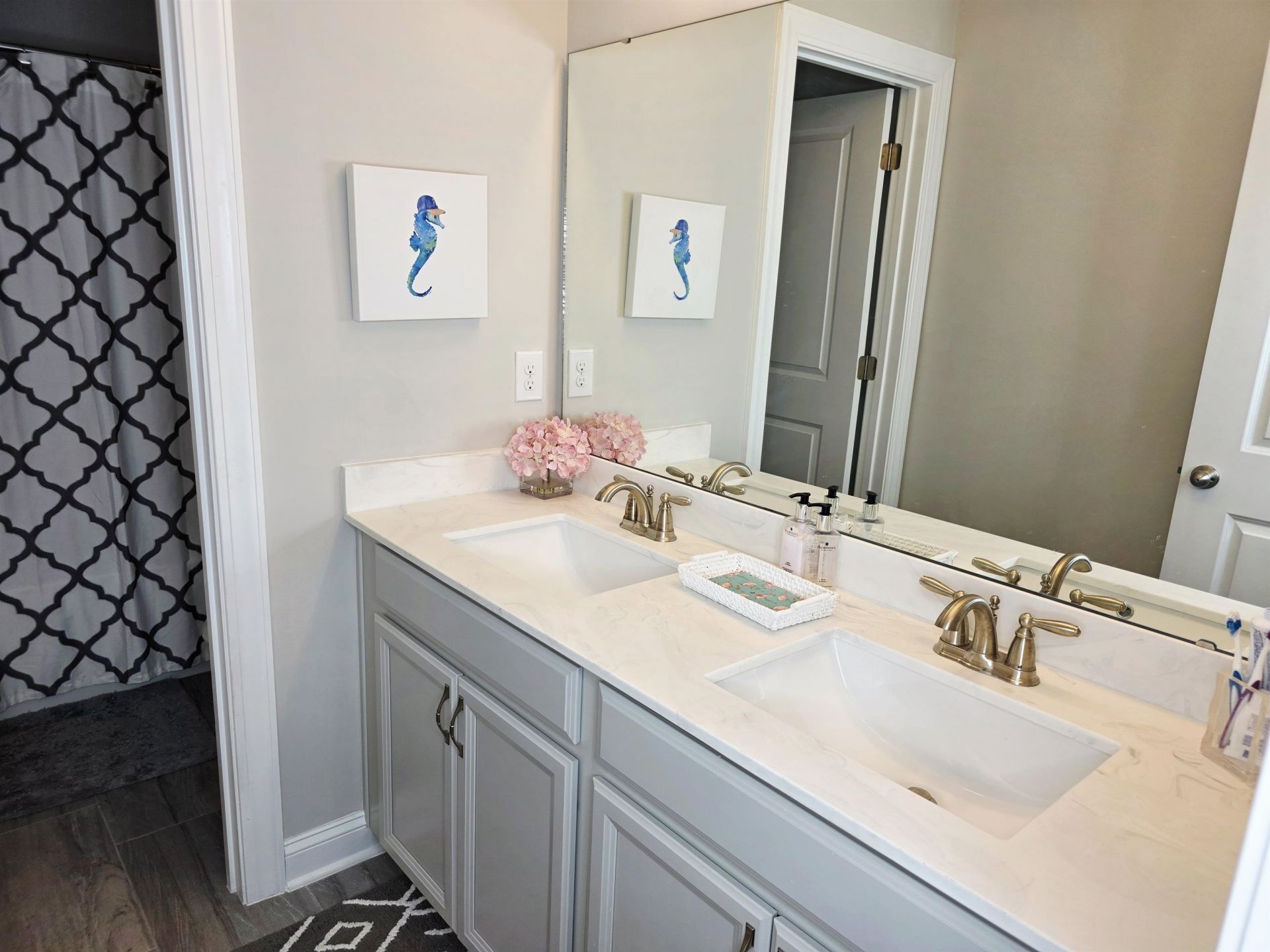 2893 Stellar Loop Photo 53