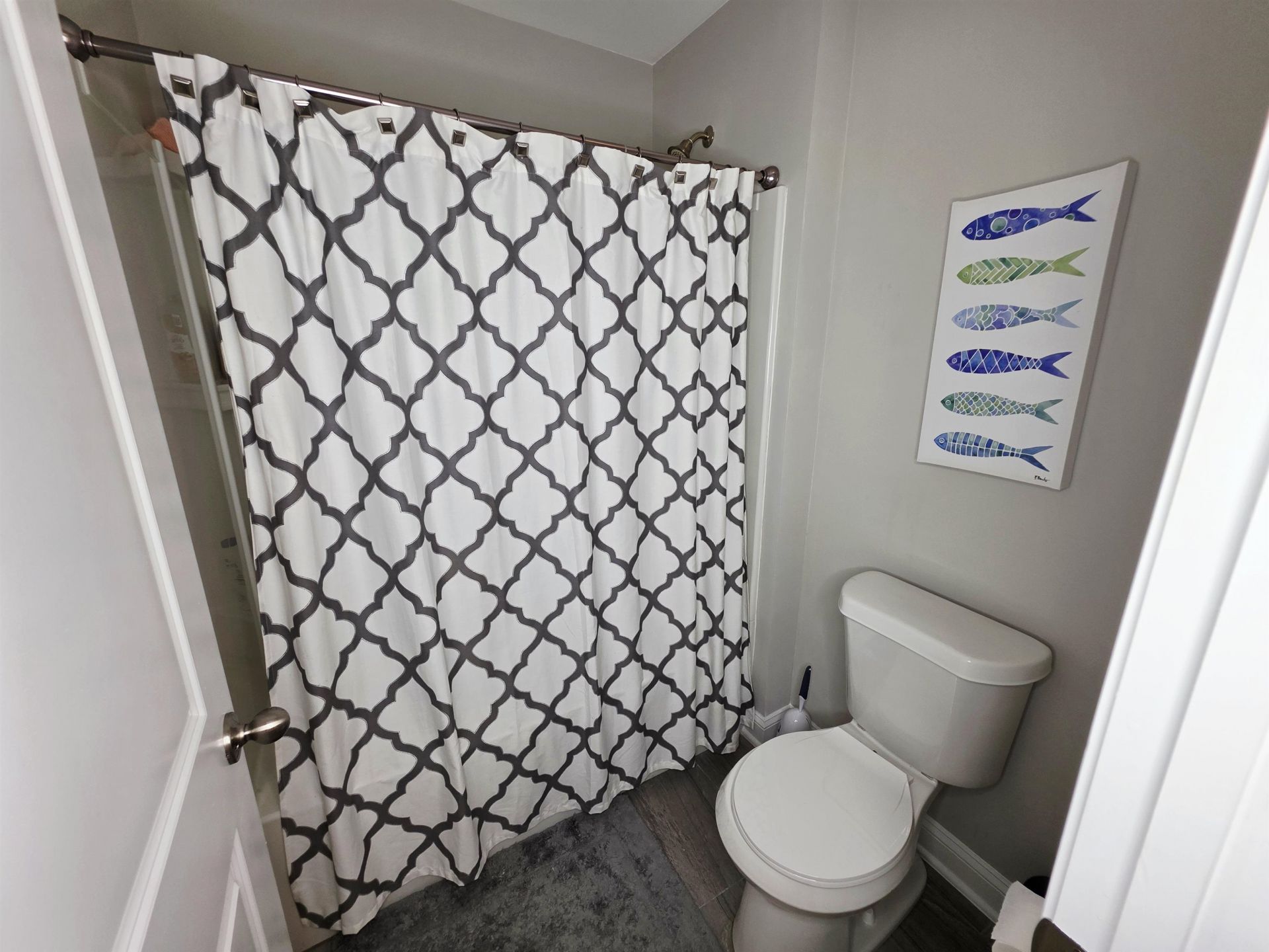 2893 Stellar Loop Photo 54