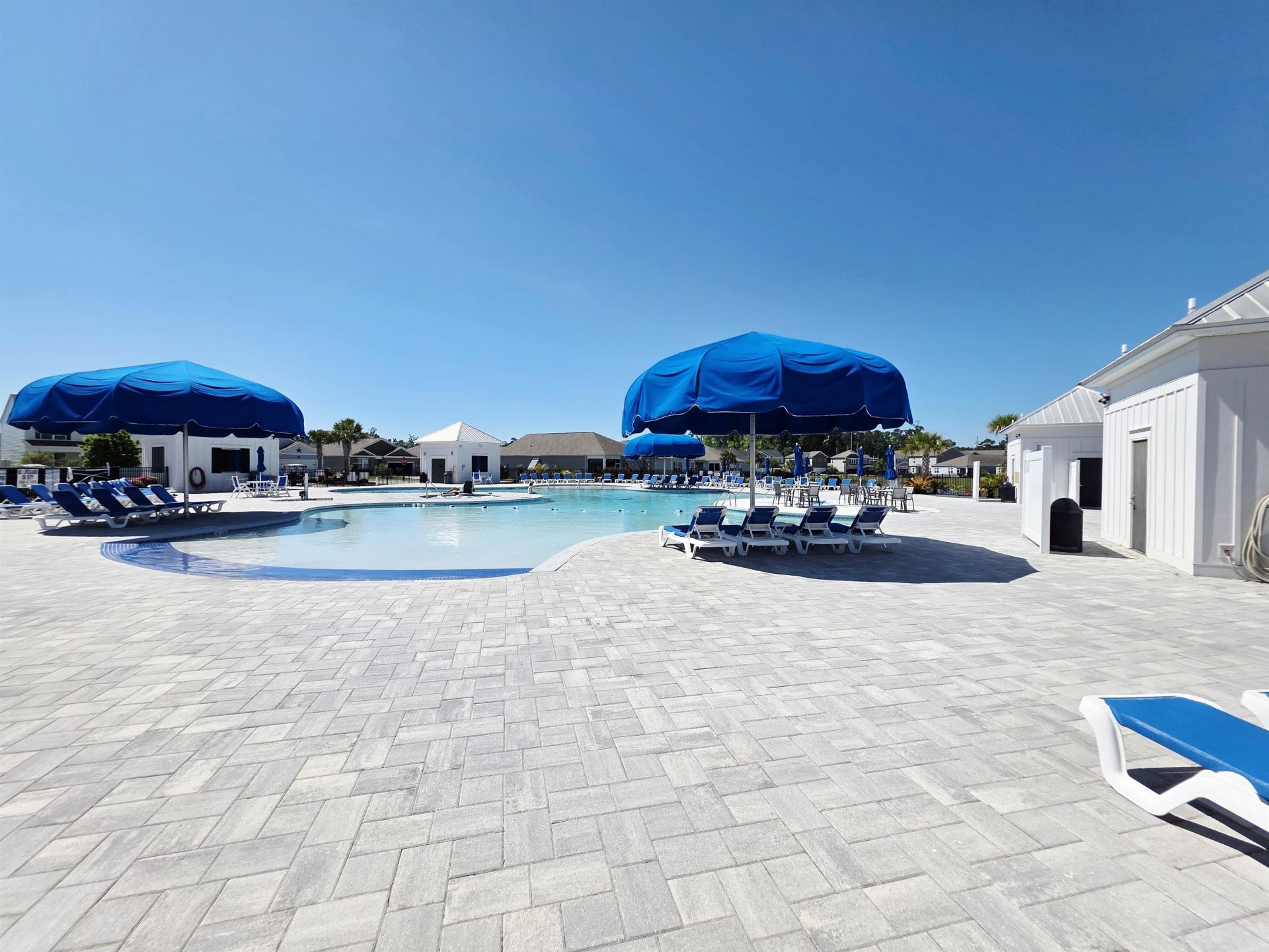 2893 Stellar Loop Photo 77