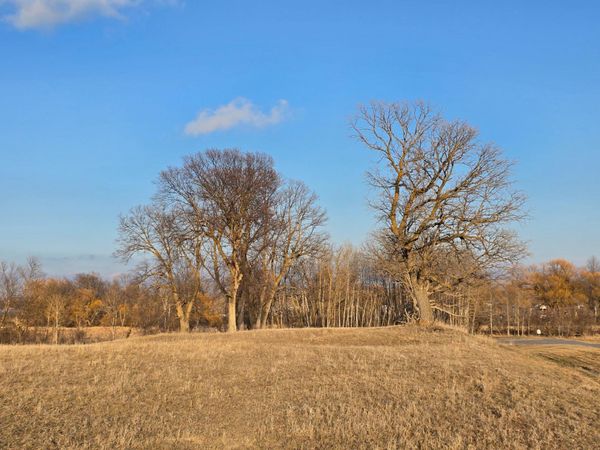 Lot 8 Branch Creek Road , Detroit Lakes, MN 56501