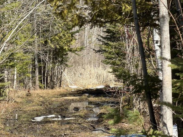 139 AC Witt Road, Alpena, MI 49707