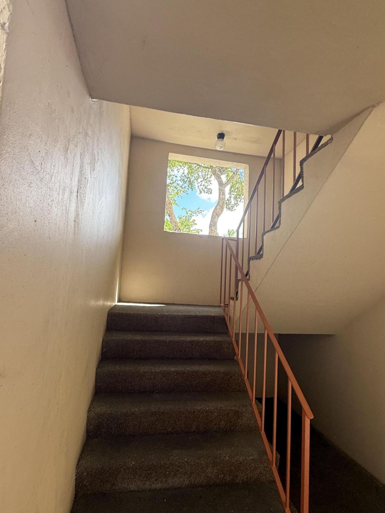 8051 Sunrise Lakes Drive N, Unit 210, Sunrise, FL 33322 Photo