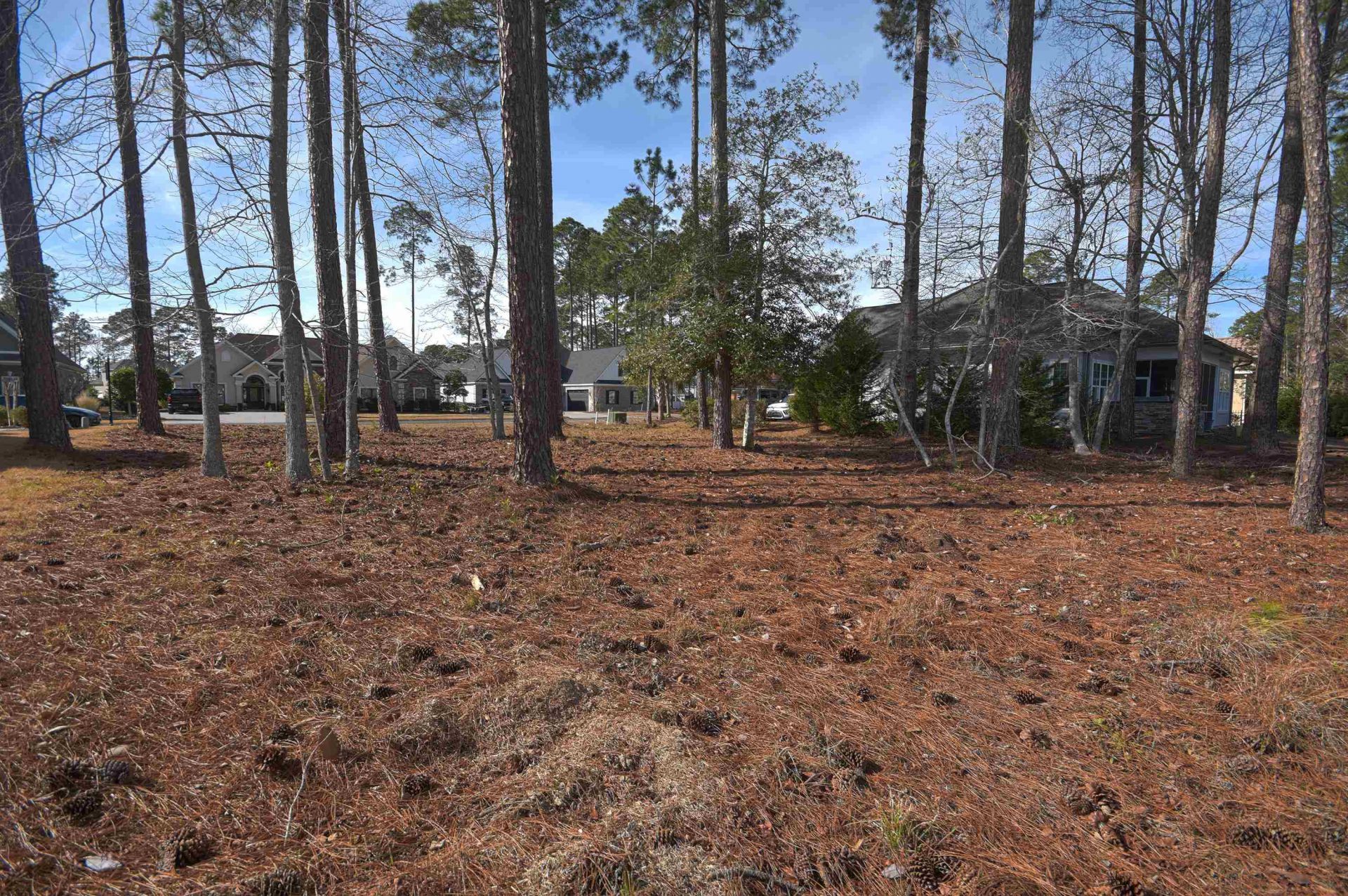 2816 Mcleod Ln. Photo 7