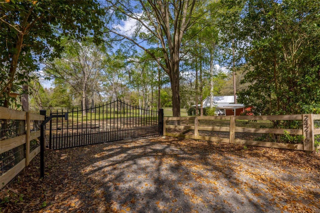 24216 NW 62nd Avenue, Alachua, FL 32615 Photo