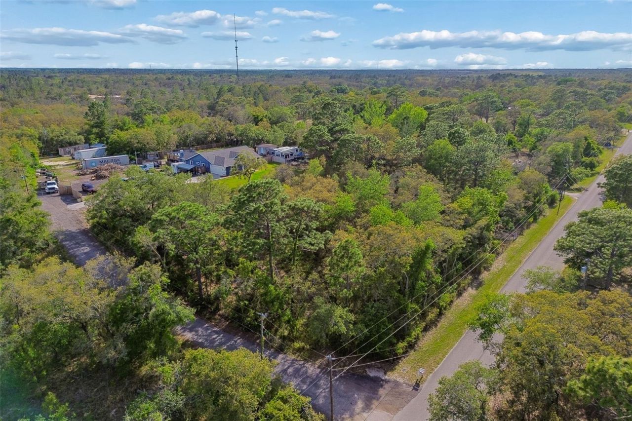 12916 Ithaca Avenue, Hudson, FL 34667 Photo