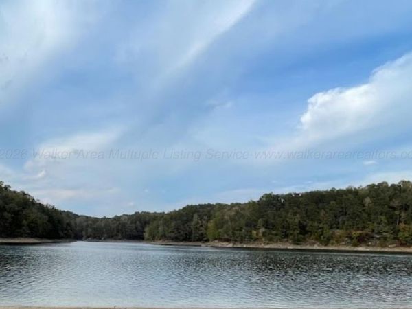 0 COUNTY ROAD 56, Houston, AL 35572