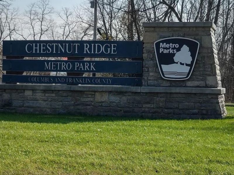 46 E Columbus Street, Canal Winchester, OH 43110 Photo 82