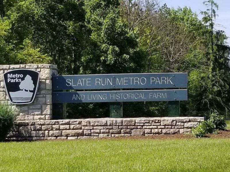 46 E Columbus Street, Canal Winchester, OH 43110 Photo 83