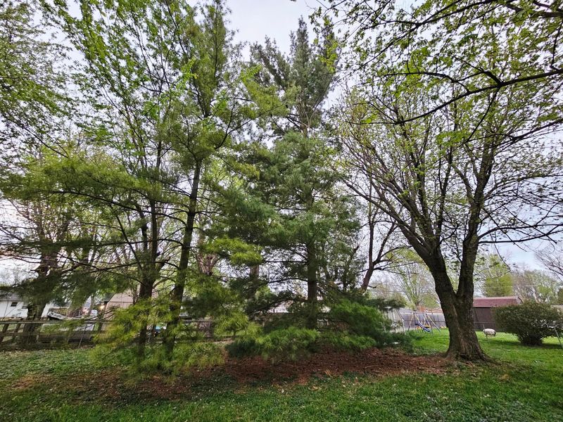 3734 N Lakeshore Drive , Jamestown, OH 45335 Photo 10