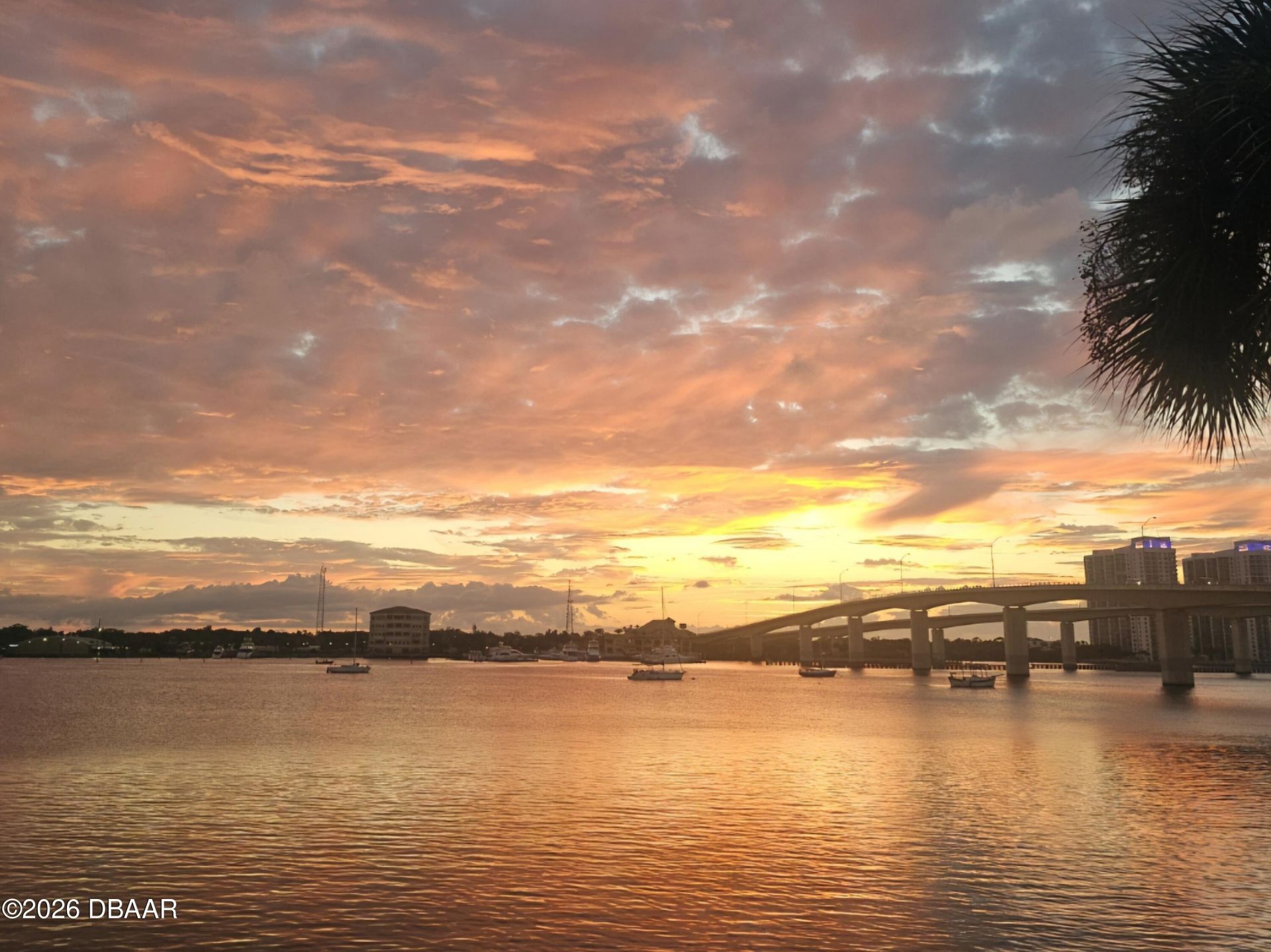 415 N Halifax Avenue, Unit 216, Daytona Beach, FL 32118 Photo
