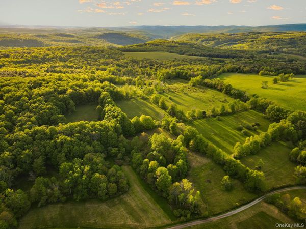 1 Hall Hill Road , Parksville, NY 12768