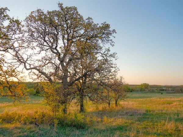 NE 164th Street, Luther, OK 73054