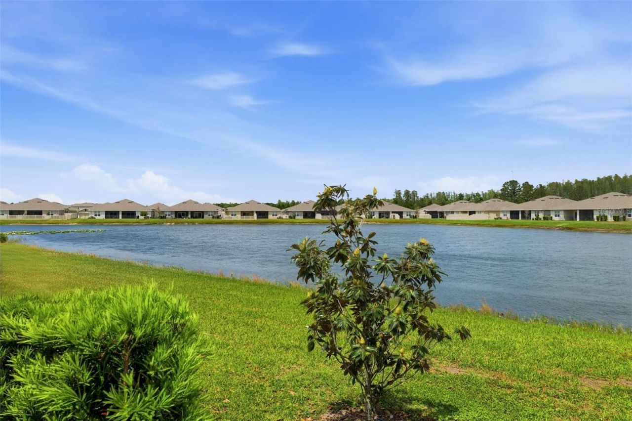 17804 Turning Leaf Circle, Land O Lakes, FL 34638 Photo