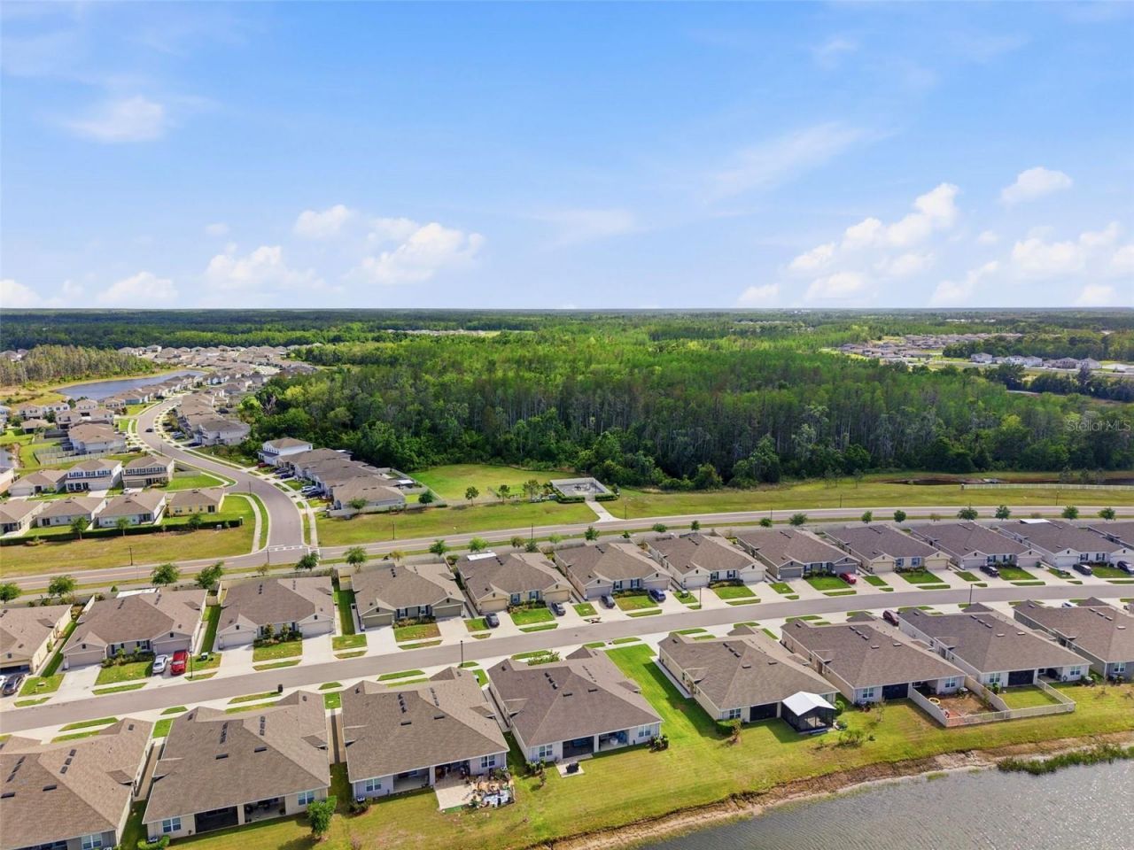 17804 Turning Leaf Circle, Land O Lakes, FL 34638 Photo
