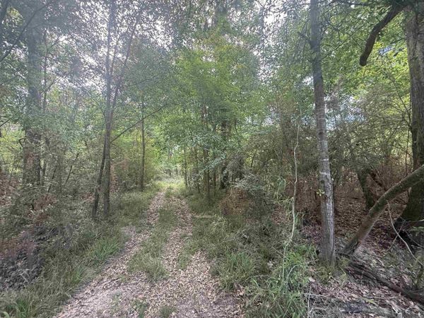 LOT-138 Amite River Rd, Baton Rouge, LA 70817