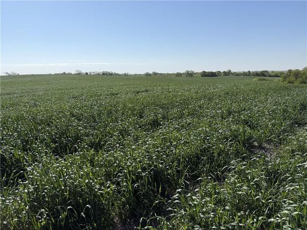 TBD #2 H Highway, Darlington, MO 64438