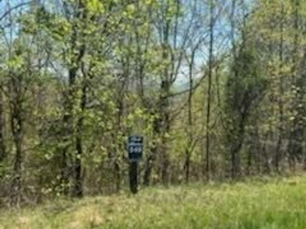 Lot 548 Marble Point Way, New Tazewell, TN 37825