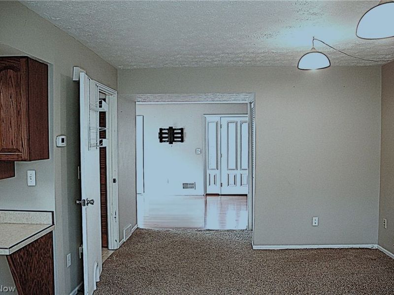 8867 Holly Lane, Olmsted Falls, OH 44138 Photo 11