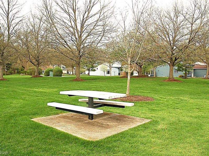 8867 Holly Lane, Olmsted Falls, OH 44138 Photo 28