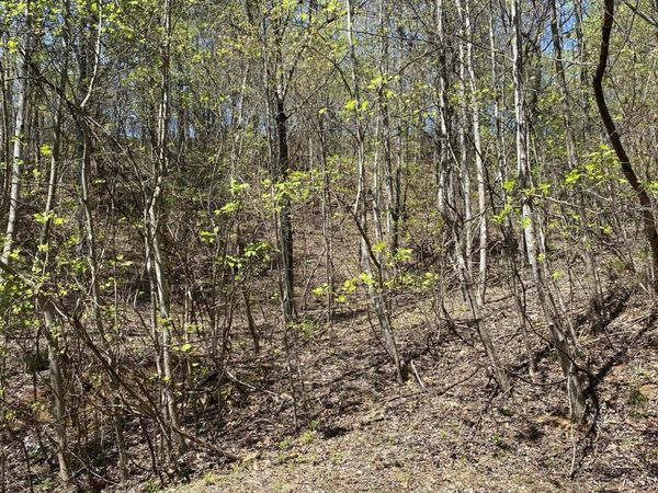 Lot 549 Garnet Tr, New Tazewell, TN 37825