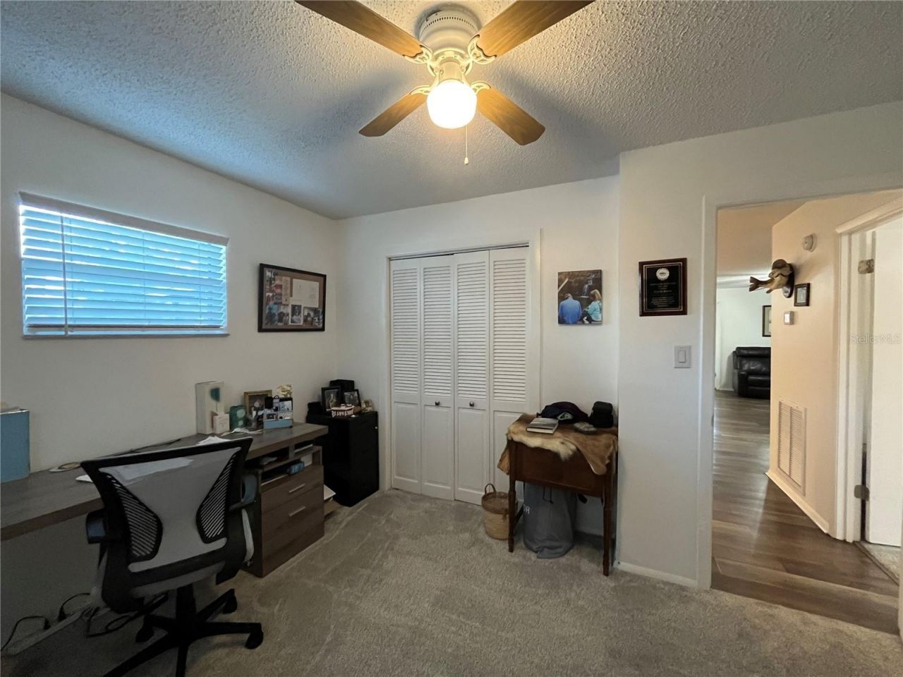 407 Poinsettia Avenue, Fruitland Park, FL 34731 Photo