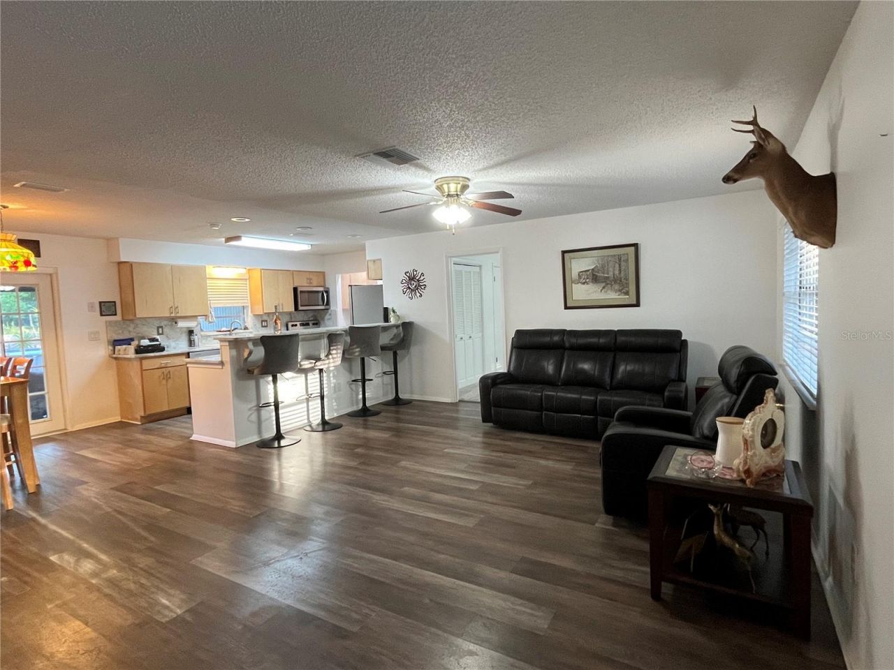 407 Poinsettia Avenue, Fruitland Park, FL 34731 Photo