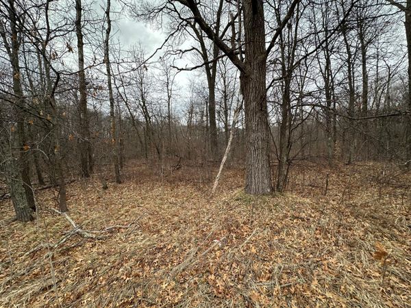 Lot 25 County Rd 11 , Breezy Point, MN 56472