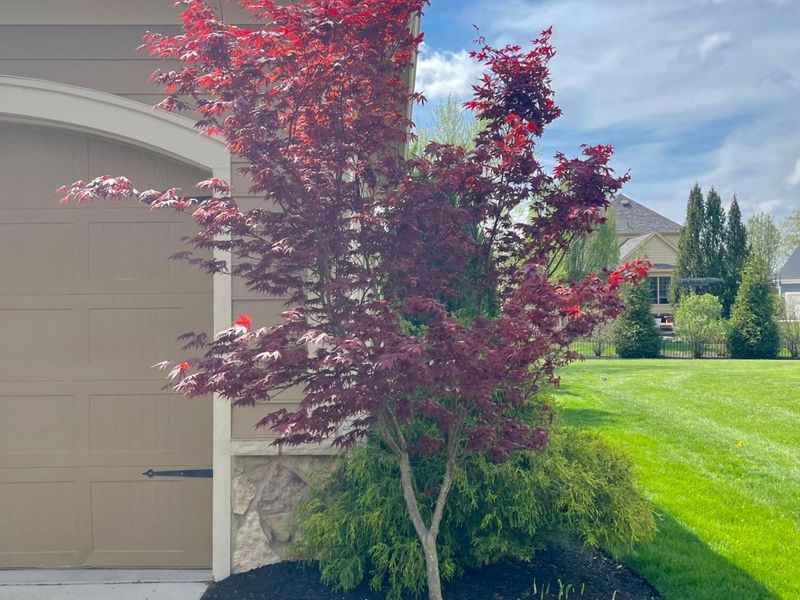 5997 Baronscourt Way, Dublin, OH 43016 Photo 82