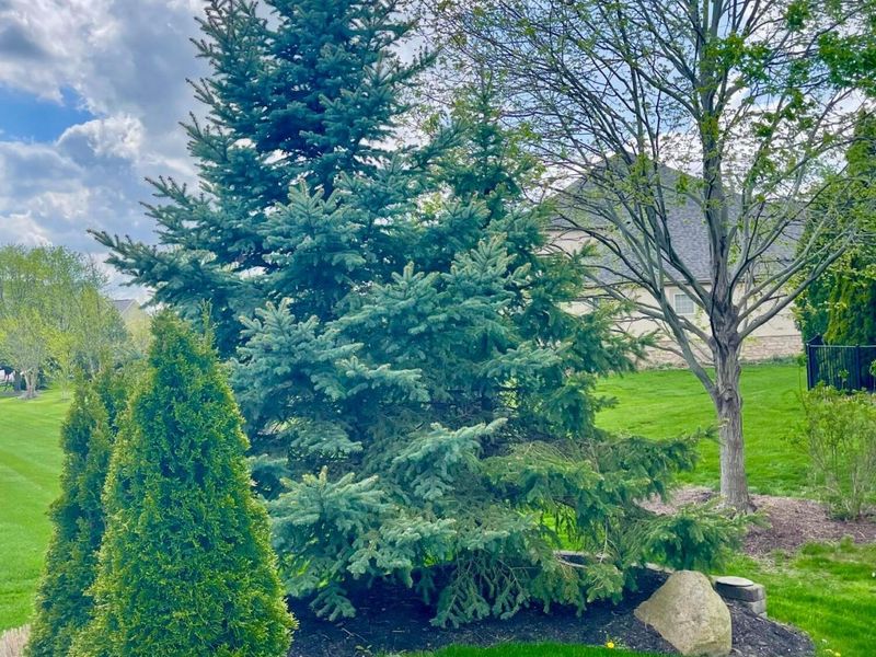 5997 Baronscourt Way, Dublin, OH 43016 Photo 85