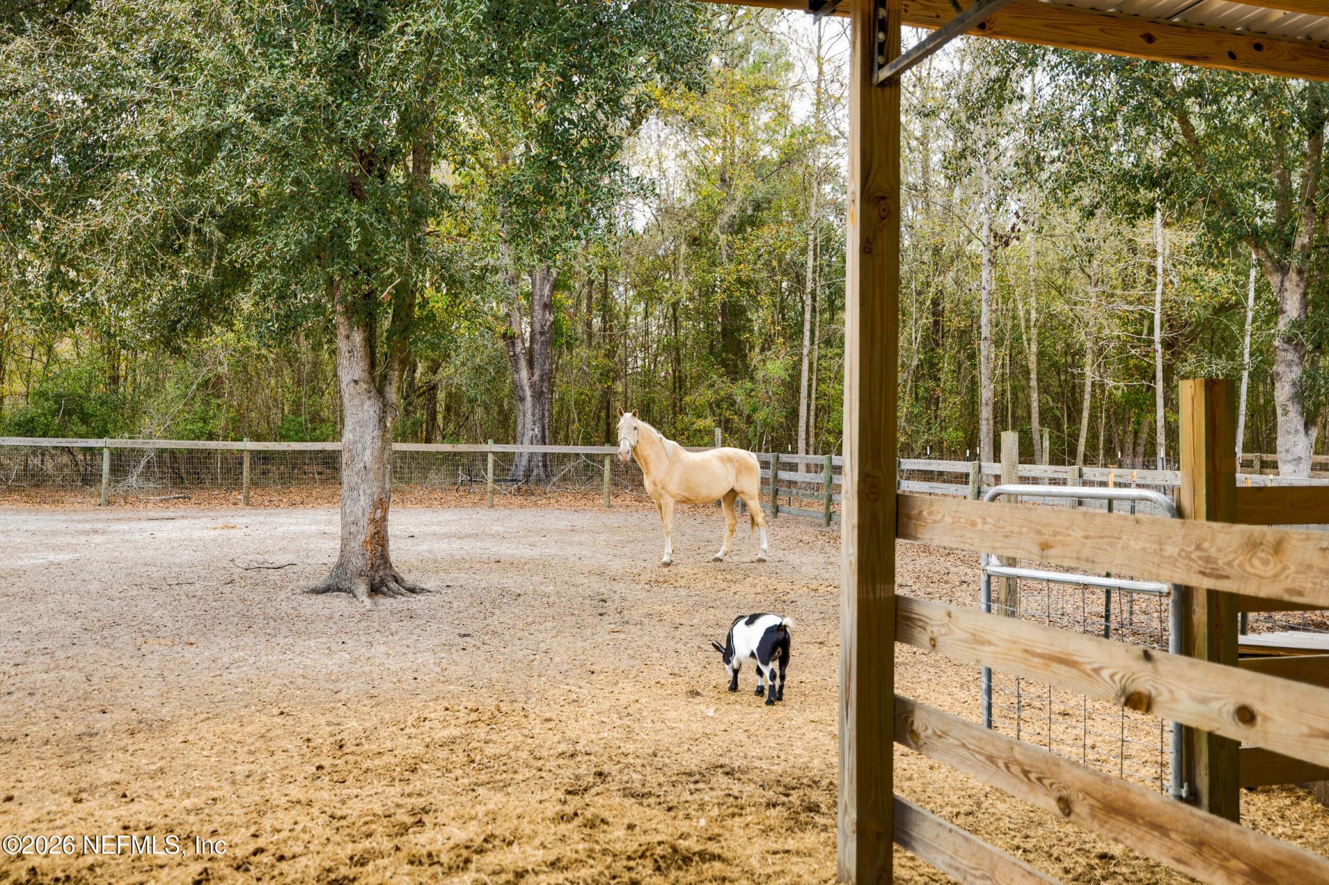 6012 Long Branch Road, Jacksonville, FL 32234 Photo