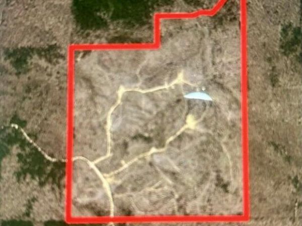 County Road 409, Falkner, MS 38629