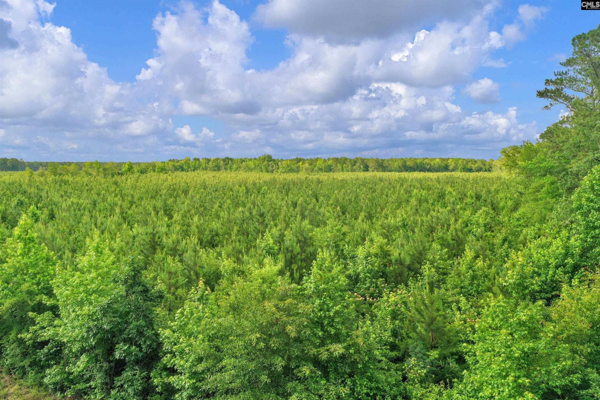 0000 N Brewington Road  Photo 10