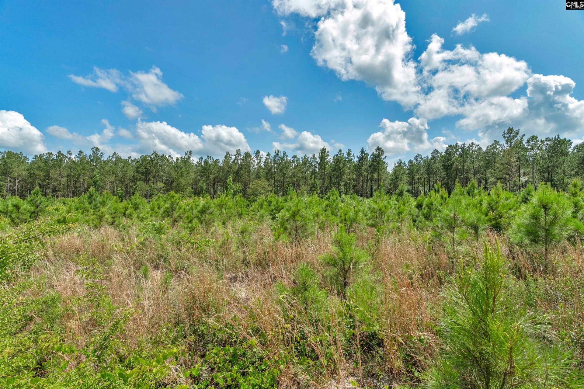 0000 N Brewington Road  Photo 13