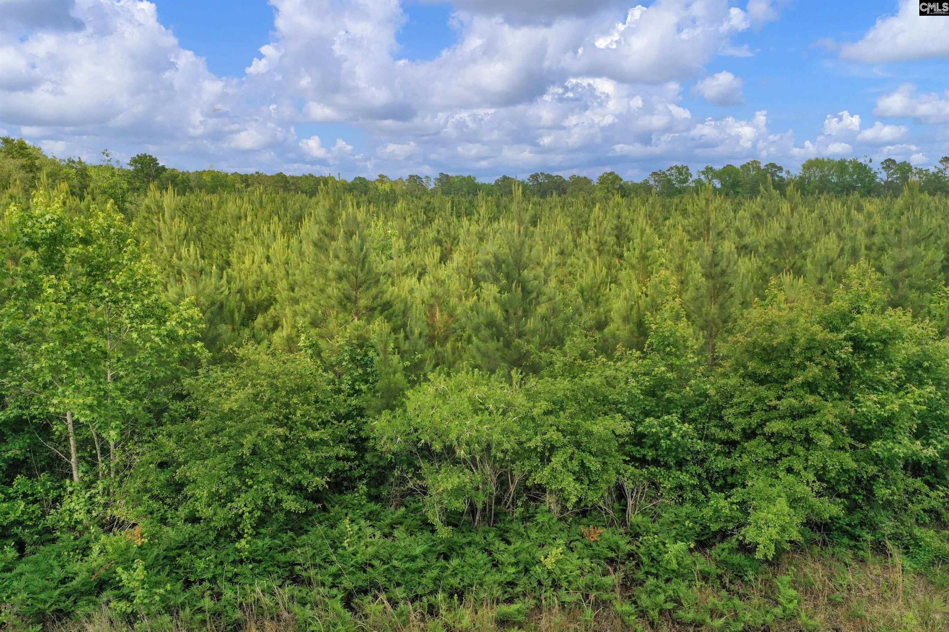 0000 N Brewington Road  Photo 14