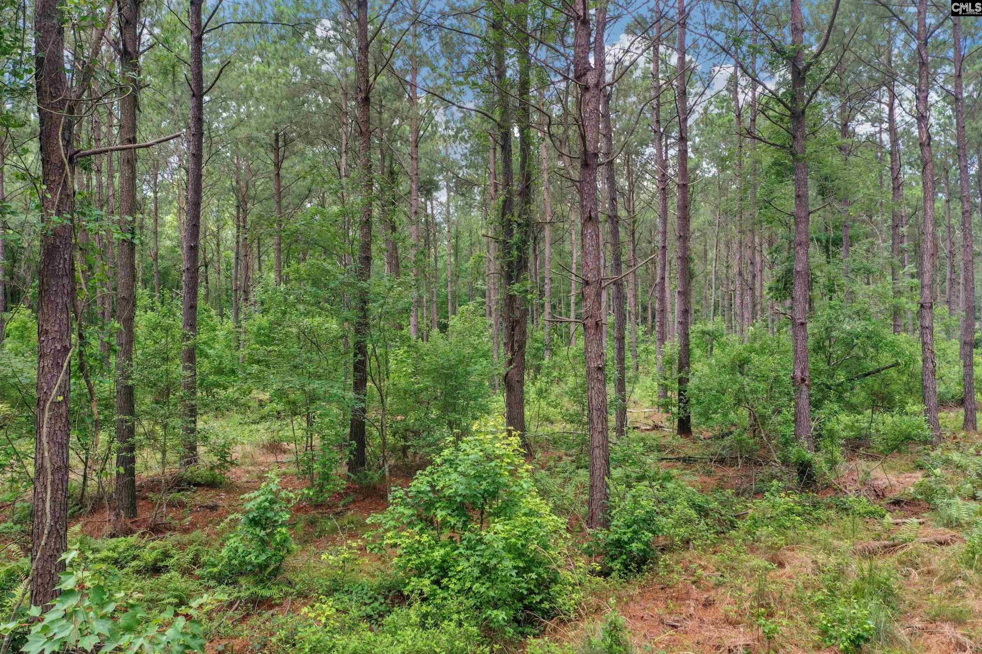 0000 N Brewington Road  Photo 20