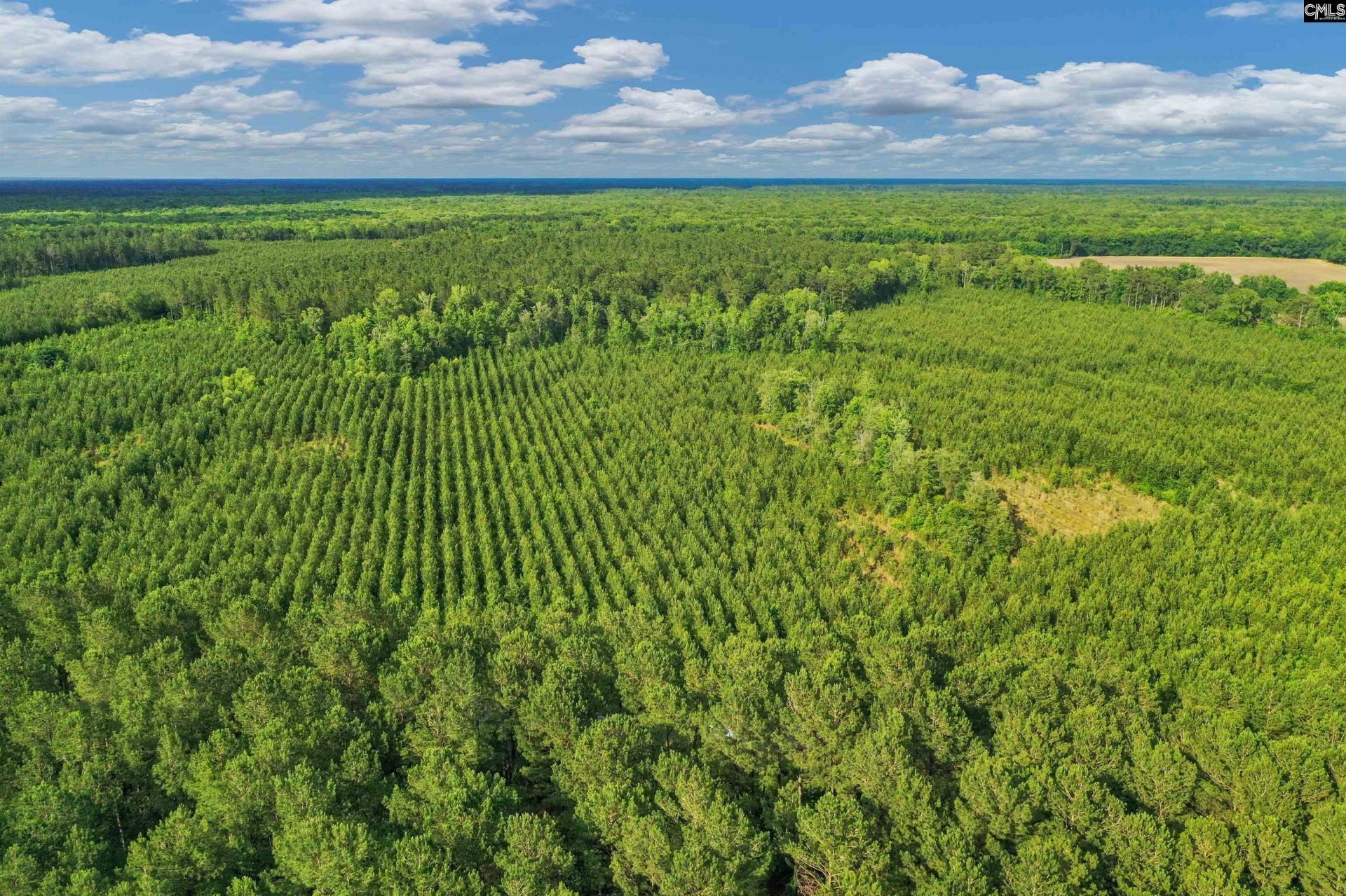 0000 N Brewington Road  Photo 21