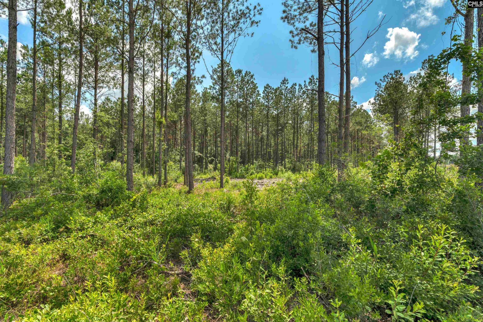 0000 N Brewington Road  Photo 22